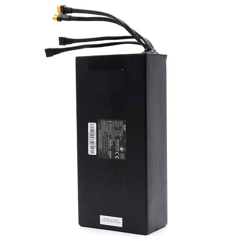Bateria 48V 19,2 A/h do Smartgyro Speedway — zdjęcie 9